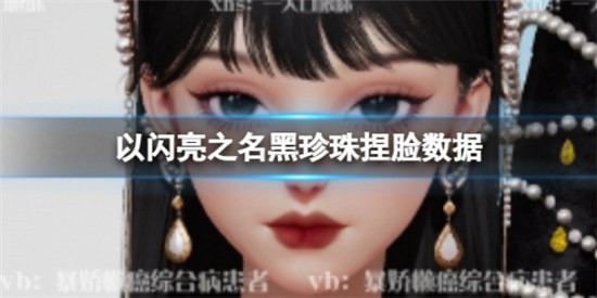 以闪亮之名黑珍珠捏脸数据(以闪亮之名怎么玩)